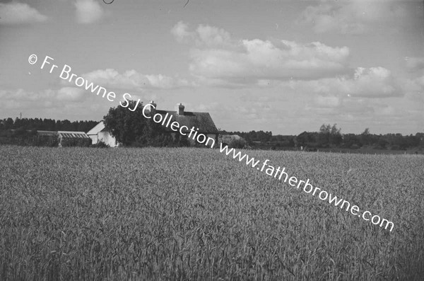 HARVEST SCENE